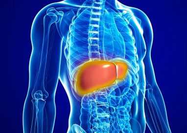 Preventing the Fatty Liver for skinny People
