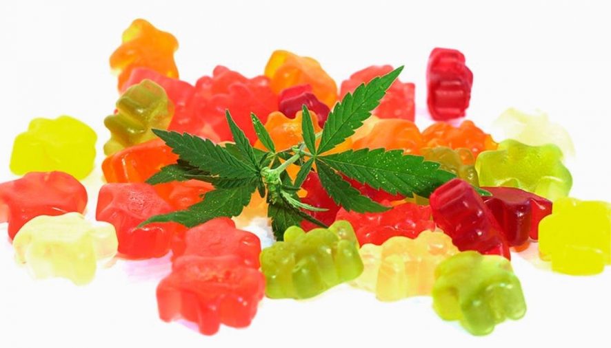 A Guide to Different Types of CBD Gummies for Pain